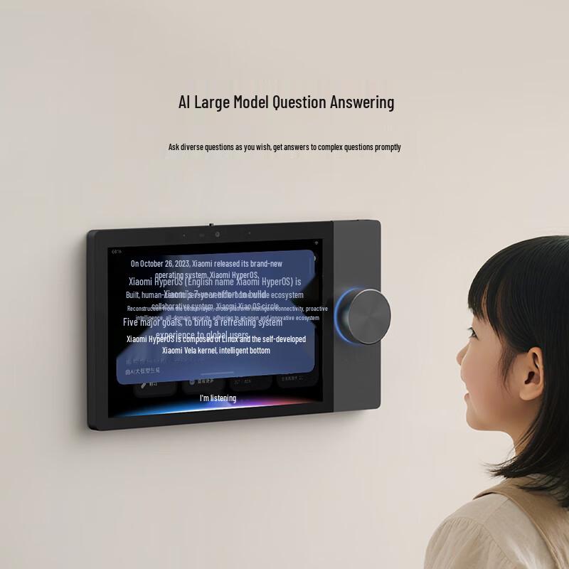 Xiaomi Smart Central Control Screen Max 10.1-inch