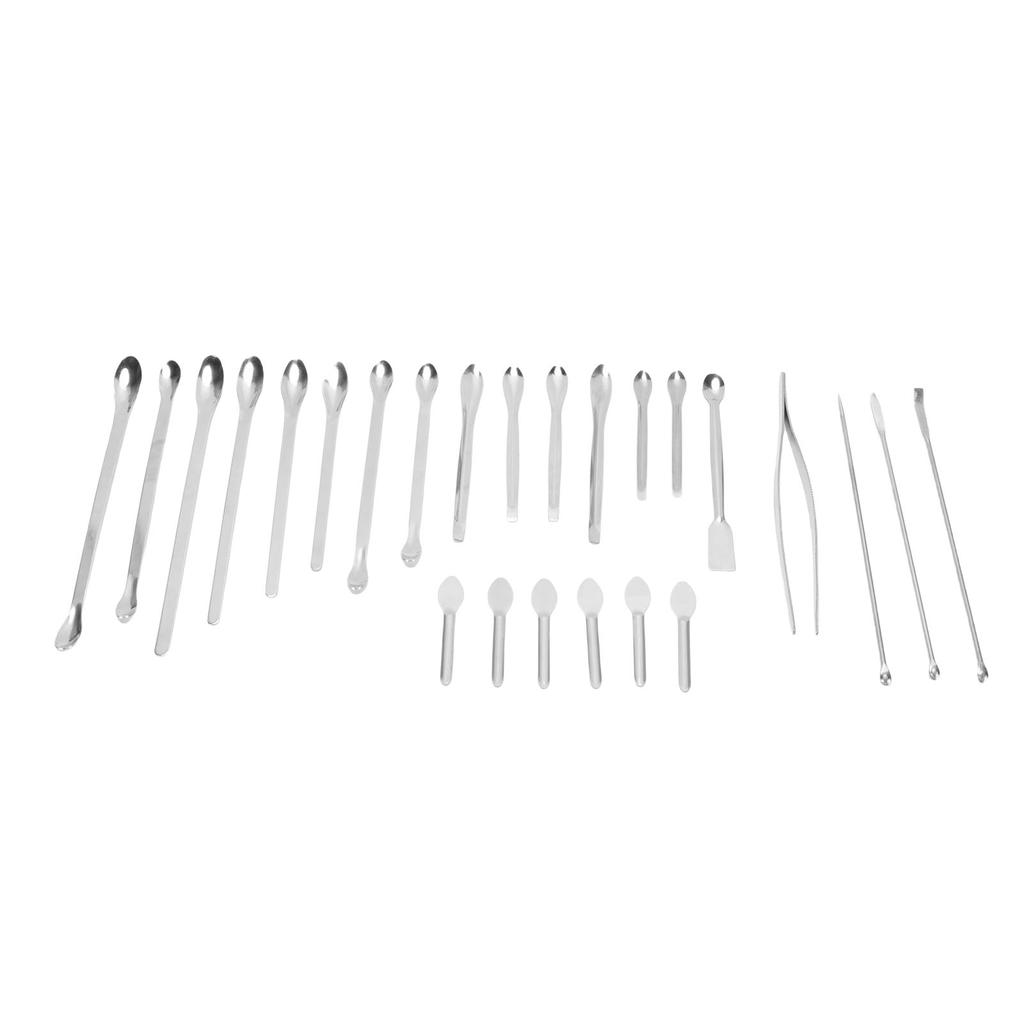 25Pcs Laboratory Spoon Spatula Tweezers Set 304 Stainless Steel Long Handle Multifunctional Laboratory Sampling Scoop