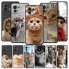 Phone Case For Xiaomi Mi 15 14 14T 13T 12T Pro 12 13 11 Lite 5G 11T X6 X5 Pro Soft TPU Cover Cartoon Fun Cat Pet Dog