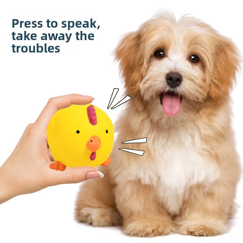 Latexspielzeug, Runde Schweinekopf- und Hühnerkopf-Bälle mit Geräuschfunktion, Spielzeug für Haustiere zum Zahnen und zur Zahnreinigung, Hundespielzeug