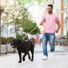 Leash for Dogs "EVOLUTOR" Width 25 Mm THE MOST DURABLE LEASH