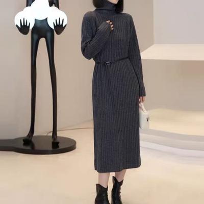 Turtleneck Sweater Inner Dress Women's Autumn and Winter New Loose Casual and Thin Medium and Long Inner Sweater Skirt