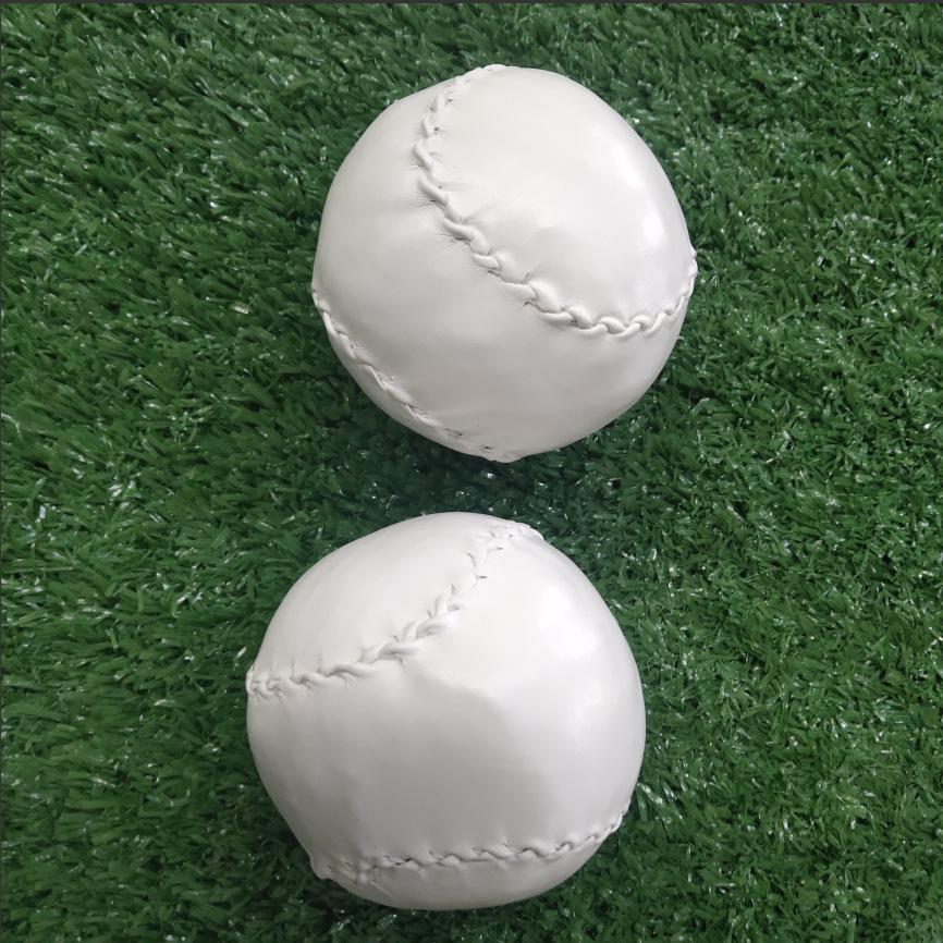 Youth Softball & Baseball Training Equipment for School Competitions 10-inch Hardball