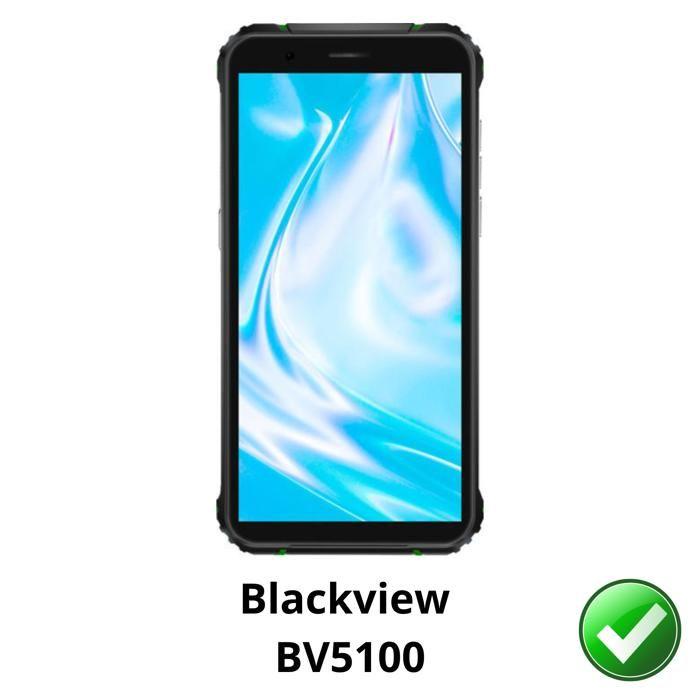 Screen Protector - Phonillico - Blackview BV5100 - Pack of 2 - Ultra Thin - Scratch Resistant