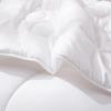 Hongxiu Shifang Antibacterial Washable Comfort Quilt
