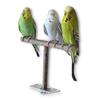 Holzständer Mini Verschleißfest Leichtgewicht Vogel Holzständer für Aras