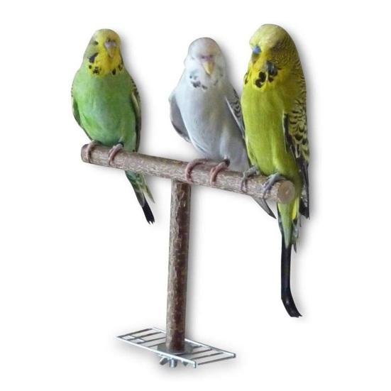 Holzständer Mini Verschleißfest Leichtgewicht Vogel Holzständer für Aras