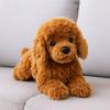 Bonecas e peluches – Peluches