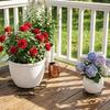 New 5PCS Flower Pot Tray Anti Rot Root Plastic Drainage Rack Stand Saucer Bracket Drip Plant Flowerpot Tray Home Garden Supplies