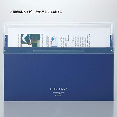LIHIT LAB A6024-8 Document File Case Congress Case A4 Cube Fizz Blue Opaque