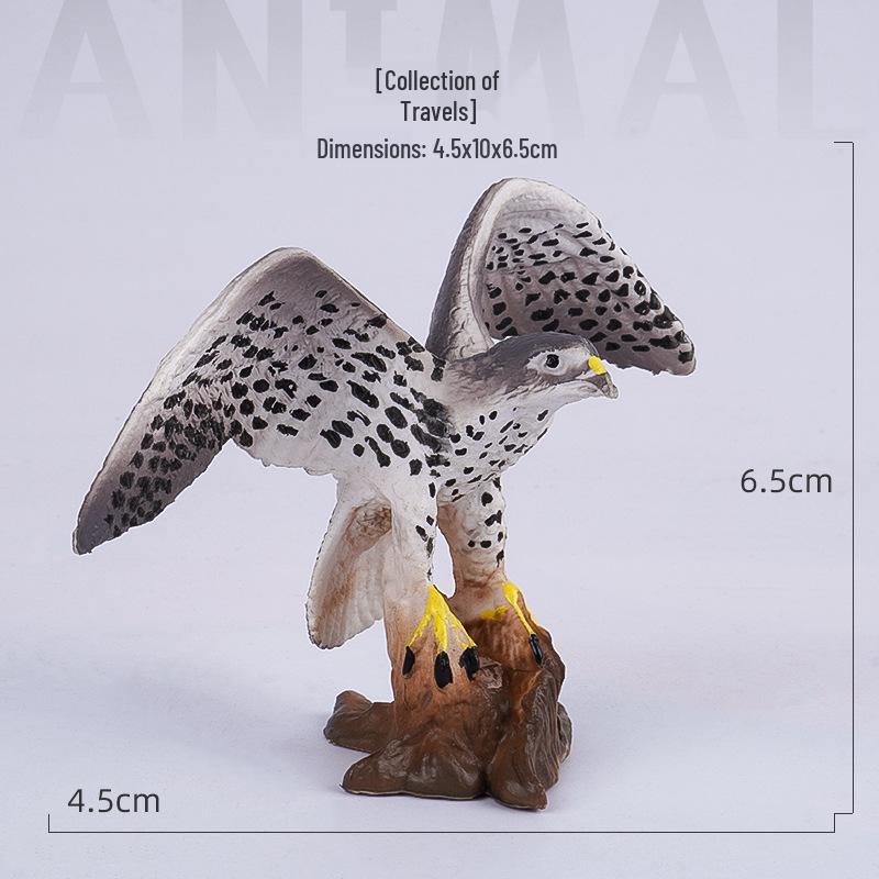 Solid Simulation Flying Bird Models: Parrots, Falcons, Owls, Flamingos