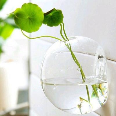 Wall Hanging Planter Glass Hydroponic Vase Plant Terrarium Ball Flower Pot