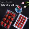 Sairkeyou Disposable Transparent Strawberry Packaging