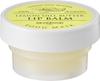 Skinfood Food Mask Lip Care 21ml (Choose 1 of 3)