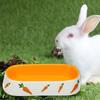 Cartoon Rabbit Feeder Cute Pet Food Feeding Basin Pet Supplies Rabbit Food Bowl  Kitten Puppy