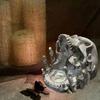Gothic Skull Resin Rings Holder With Multifunctional Use As Jewelry Tray Or Ashtray