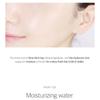 ROUND LAB - Birch Juice Moisturizing Toner