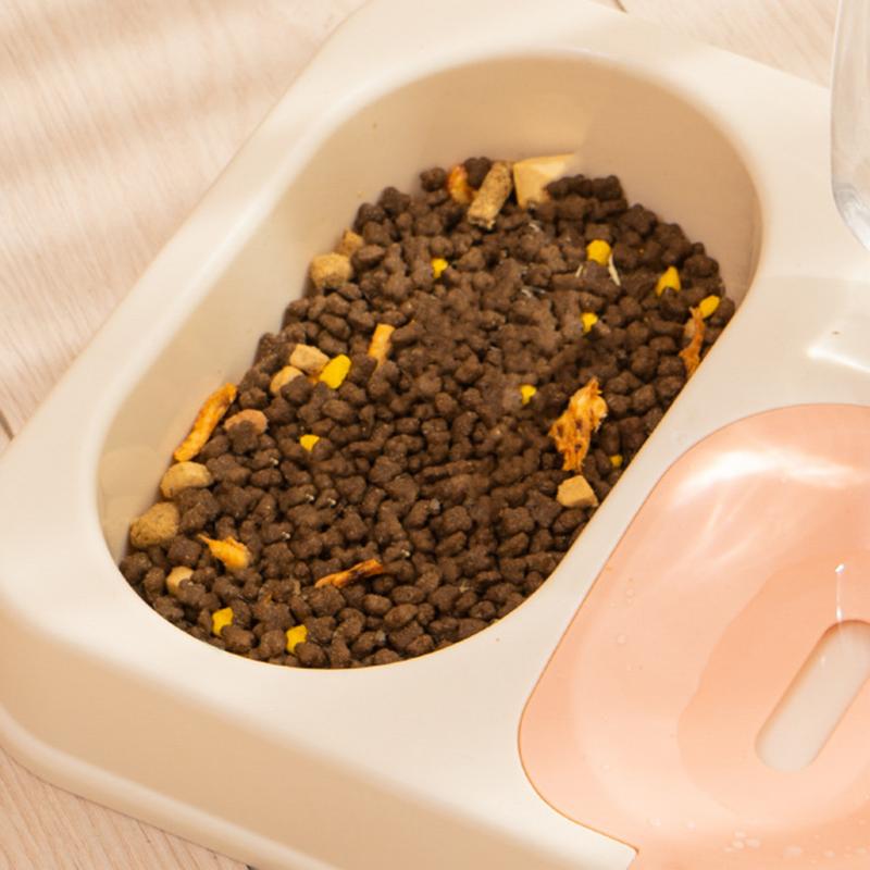 Cat Dishes For Food And Water 2 In 1 Raised Pet Feeding Bowl Double Dishes Bunny Food Water Dispenser Set Automatic Waterer
