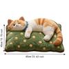 Non-Slip Cat  Area Rug 2D Cartoon Carpet Soft Home Decor Carpet  Living Rooms