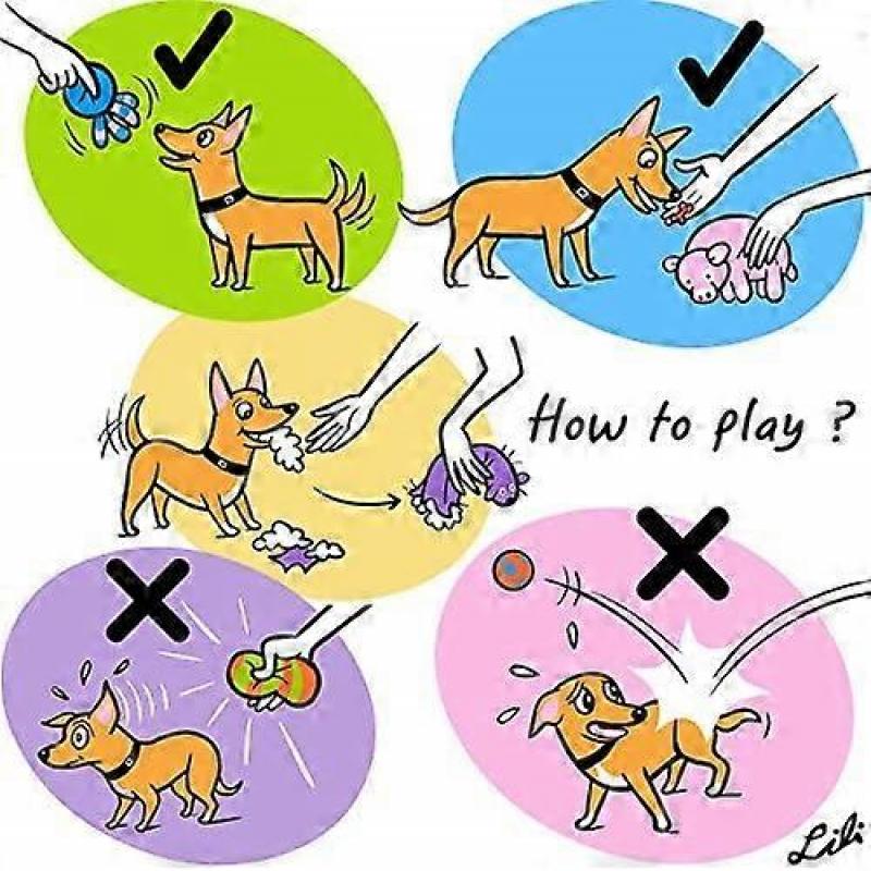 Pack 2.4" Quietsch Latex Welpen Hundespielzeug Ball Sportbälle Sets Apportieren Interaktives Spielzeug für kleinen Hund Verschiedene Farben