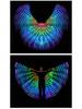 LED Luminous Angel Wings for Belly Dance and Nightclub Performance