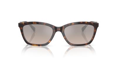 Gafas de sol 0EA4238F HAVANA BRILLANTE 54 [Emporio Armani]