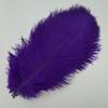 10 Pezzi Piume di Struzzo Colorate per Artigianato Piuma di Struzzo Bianca Grande Decorazione Centrotavola Carnevale Matrimonio Festa Decorazione