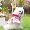 Plaid Dog Dress Dog Cat Small Medium Dog Pet Clothes Princess Wedding Dress Cat Supplies Bicycle