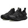 Nike ACG Mountain Fly Low GTX SE Dark Smoke Grey Unisex Sneakers Black Iron-Grey DD2861-002