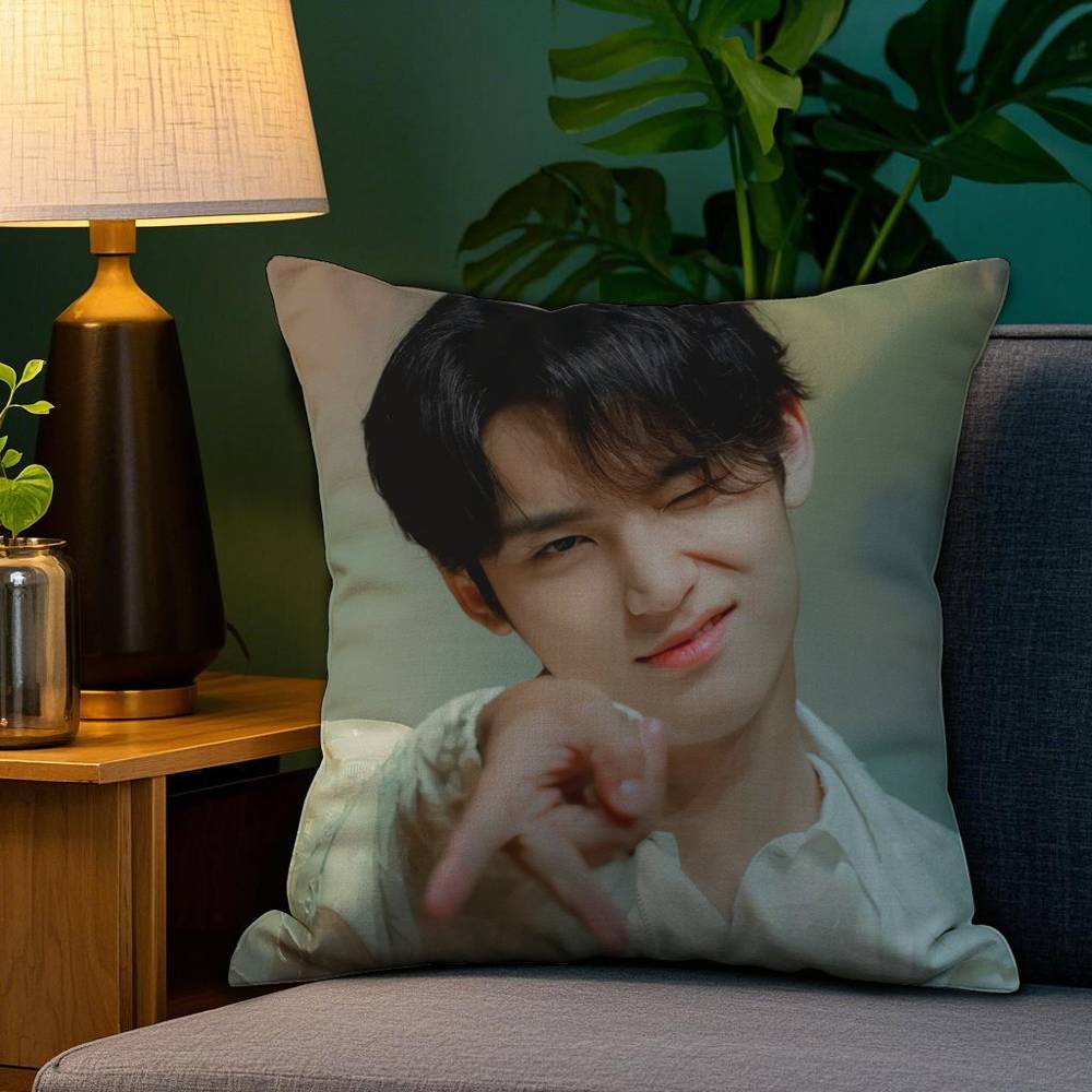 Singer M-Mingyu Pillow Case Sofa Living Room Bedroom Double-sided Printing Square Cushion Nap Time Cushion Cover