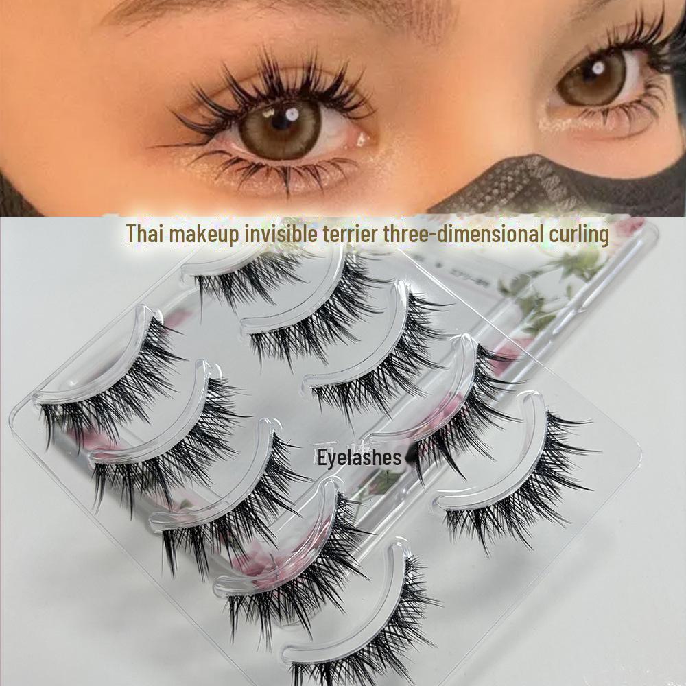 Natural-Look Fairy False Eyelashes with Transparent Thin Stem