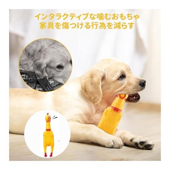 Loud Roaring Chicken Funny Screaming Chicken Set of 2 Screaming Chicken Mini Emitting Pushing Scream Funny Sharp Chicken Roaring Toy Screaming