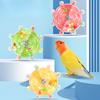1pc Parrot flying saucer spinning music colorful pearl rice runner pet toy decompression bird fun safe and healthy transparent