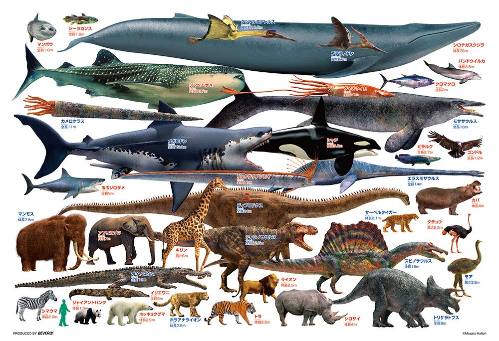 Beverly (BEVERLY) [Made in Japan] Beverly 150-Piece Jigsaw Puzzle Educational Jigsaw Puzzle: Compare Giant Creatures Large Pieces (26 x 38 cm)
