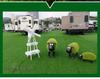 Artificial Turf Green Carpet for Kindergartens & Football Fields