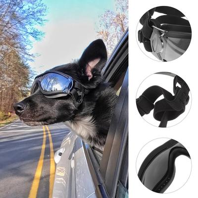 Haustierbrille Hund Augenschutz Outdoor Winddicht UV-beständig Leicht Bequem für Spaziergänge Laufen Transparent