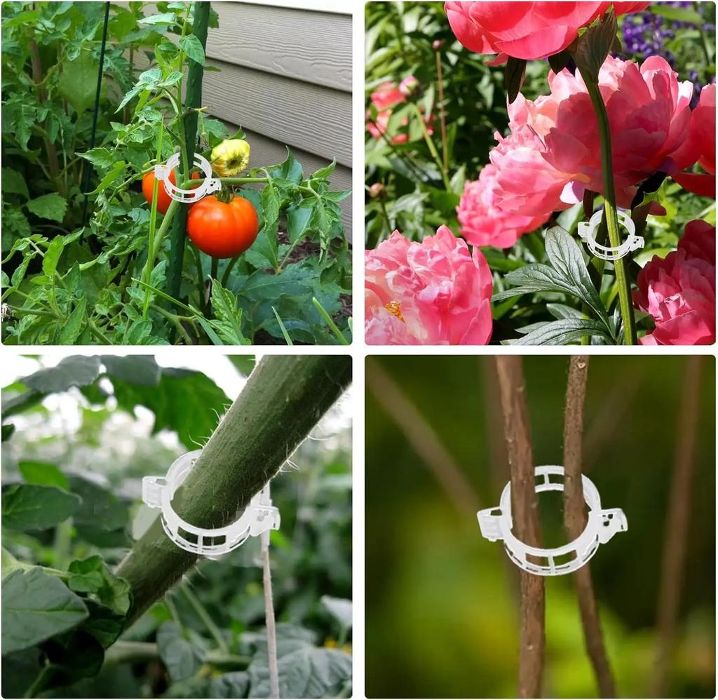 Plant Support Clips Reusable Plastic Plant Vine Strapping Grafting Fixing Holder Vegetable Tomato Climbing Tools Garden Supplies