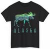 Üst giysisi – T-shirtler