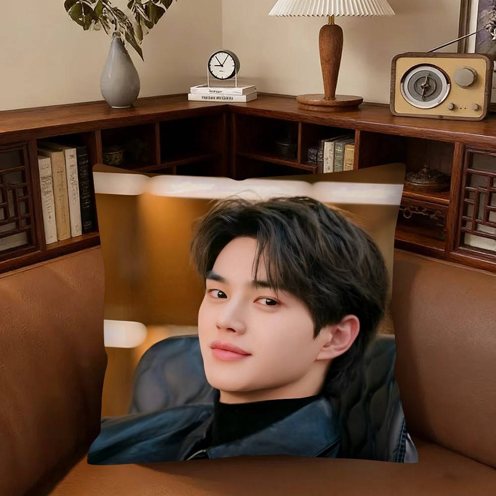 Actor Song Kang Pillow Case Fashion Square Pillowcase Bedroom Sofa Room Ins Decoration Leisure