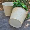 NEW Garden Decor Creative Supplies Mini Metal Hanging Flower Pots Home Garden Green Plant Planter Nursery Tin Pots Accessories