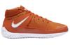 Nike Kd 13 Tb 'Desert Orange' CW4115-801