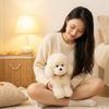 Cartoon Poodle Cute Curly Teddy Dog Plush Doll 30-40Cm Soft Sitting Collar Animal Stuffed Toy Home Decor Gift For Children