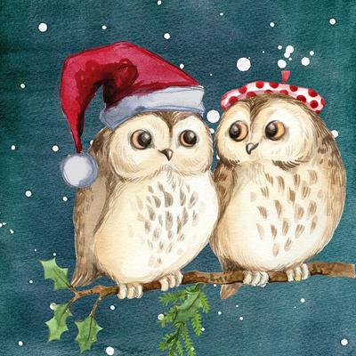 5D-Diamant-Stickerei, Cartoon-Weihnachtsmuster, Perlenstickerei, Eule, Diamant-Gemälde, Cartoon-Kind-Hobby