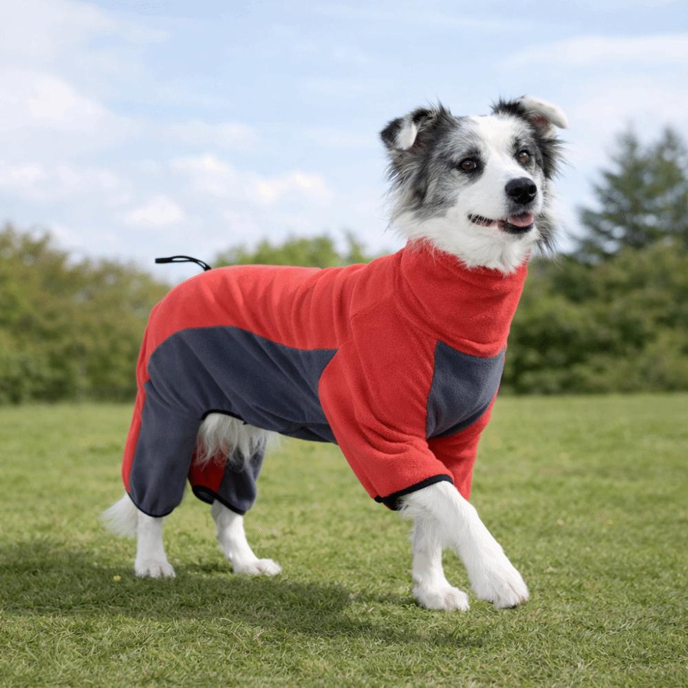 High-Neck Fleece Dog Clothes Windproof Dog Jackets Winter Dog Jumpsuit  Medium Large Dogs