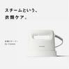 Panasonic Steam Iron Clothes Steamer White Powerful Steam Compact Lightweight 2WAY That Can Be Pressed Deodorizing and Disinfecting NI-FS40A-W