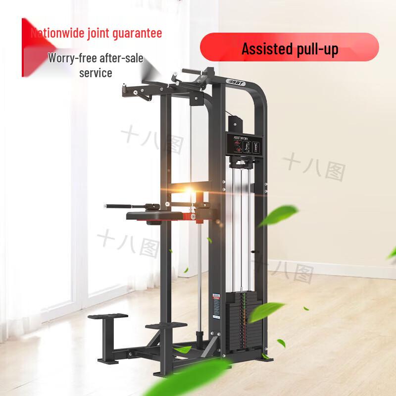 Shiba Tu TS11 Commercial Dip Station