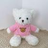 Cute Hug Bear Teddy Bear Doll Doll Sleeping with Clothes Bear Rag Doll Plush Toy Gift