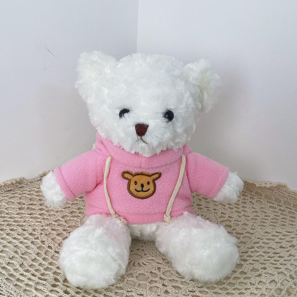 Cute Hug Bear Teddy Bear Doll Doll Sleeping with Clothes Bear Rag Doll Plush Toy Gift