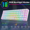 RK ROYAL KLUDGE RK68 Wired 65% Mechanical Keyboard, RGB Backlit Ultra-Compact 60% Layout 68 Keys Gaming Keyboard, Hot Swappable Keyboard with