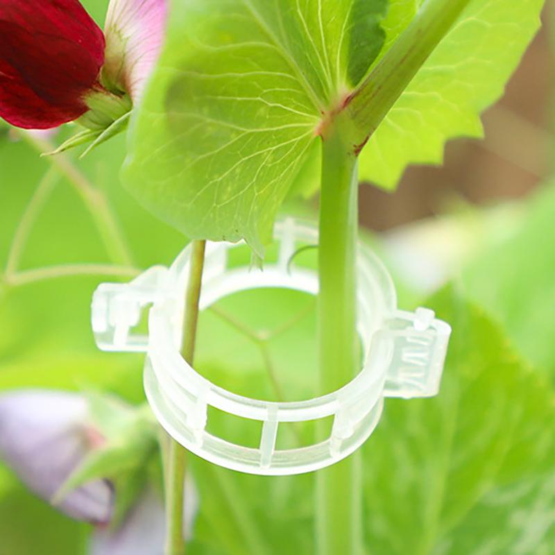 100 Pcs Plastic Plant Clips For Climbing Plants Clear Plant Fixing Clip Tomato Trellis Clips Plant Support Clips Vine Fixing Clip